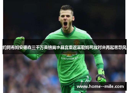 约阿希姆安德森三千万英镑离水晶宫重返富勒姆死敌对决再起恩怨风